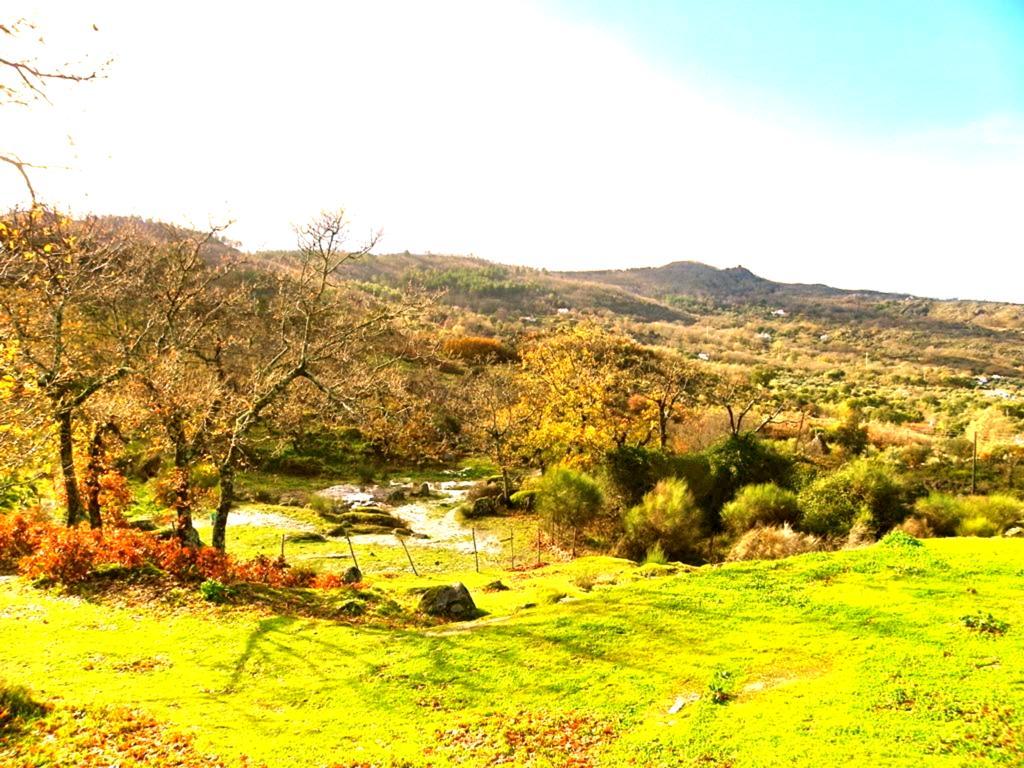 Penzion Quinta Do Marvao Pokoj fotografie