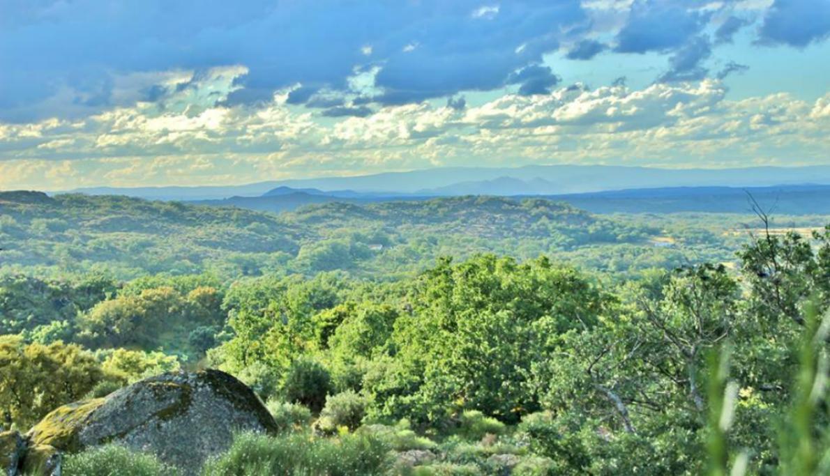 Penzion Quinta Do Marvao Exteriér fotografie